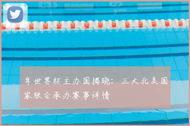年世界杯主办国揭晓:三大北美国家联合承办赛事详情